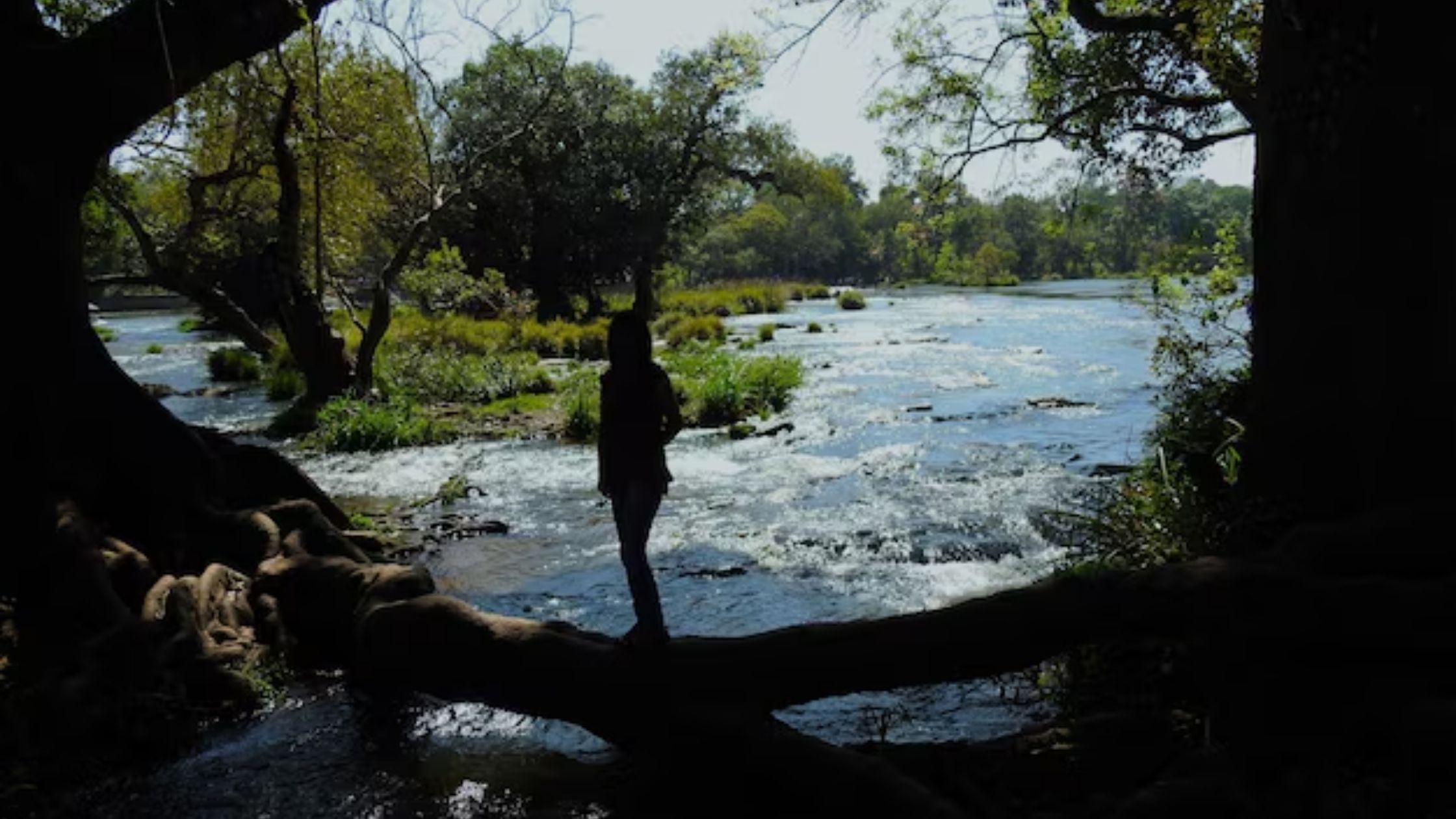 Between Rivers and Trees: Discovering the Amazon Experience from Iquitos