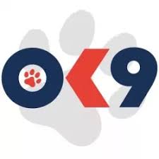 OK9 – Nền tảng game thông minh cho kỷ nguyên số