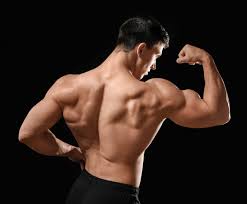 Best Muscle Building Supplement for Lean Muscle Growth