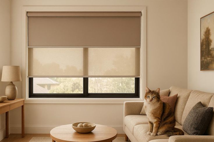 Interior Design Secrets That Start With Better Windows