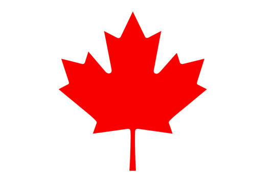 How Long Does It Take to Receive GCMS Notes? (Complete 2026 Guide)