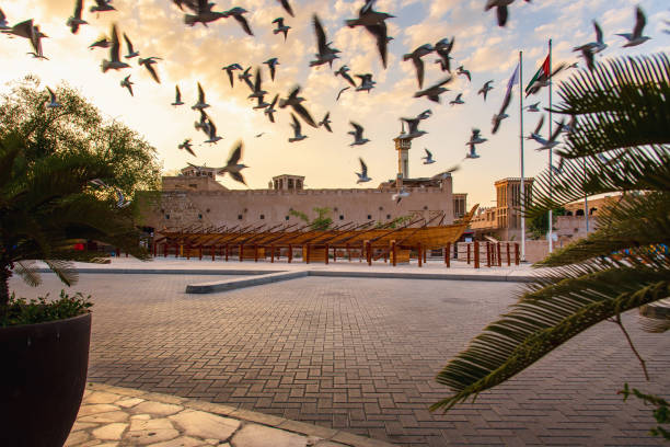 Bird Spikes in Dubai – Keep Your Property Pigeon-Free