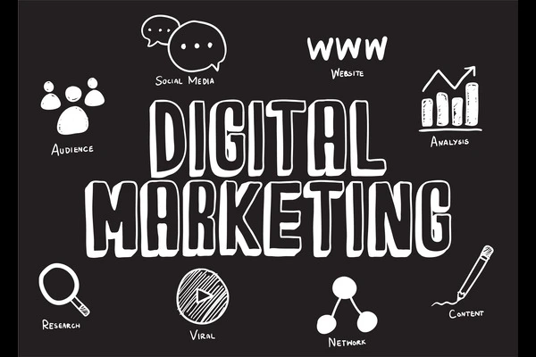 Digital Marketing Company in Pune – Grow Your Business Online with Optiedge Tech