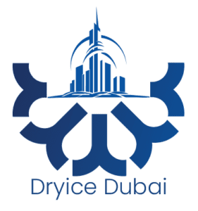 Why Choose a Specialized Dry Ice Company?