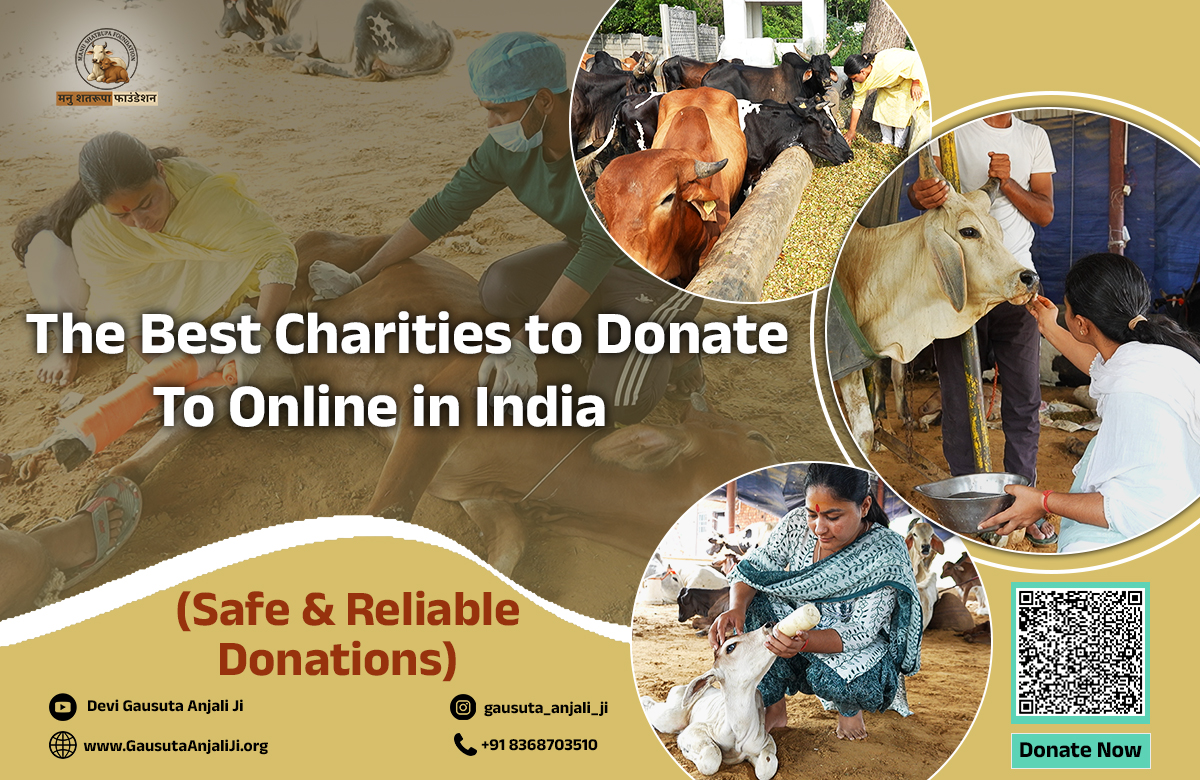 Best Charities to Donate to Online in India: A Complete Guide for Smart Donors