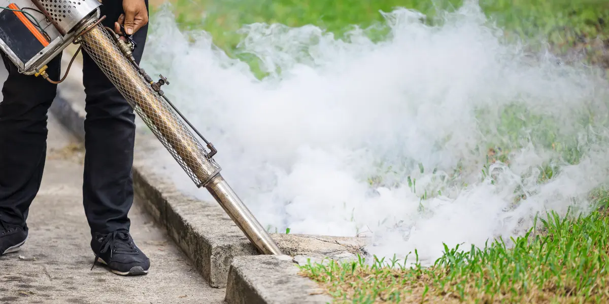 The Long-Term Property Damage Caused by Untreated Rodent Activity