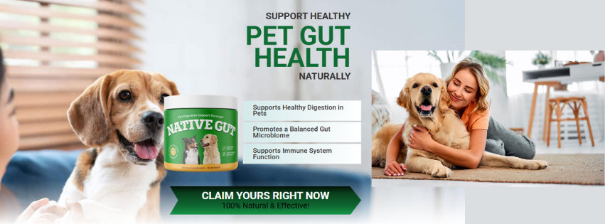 NativeGut Gut Health Formula Review: How It Works and Who Should Use It