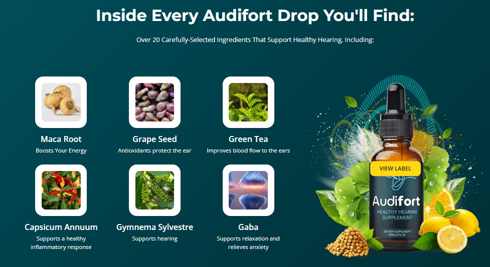 Audifort 2025 Reviews 2026