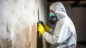 Professional Mould Testing Service for a Healthier and Safer Home
