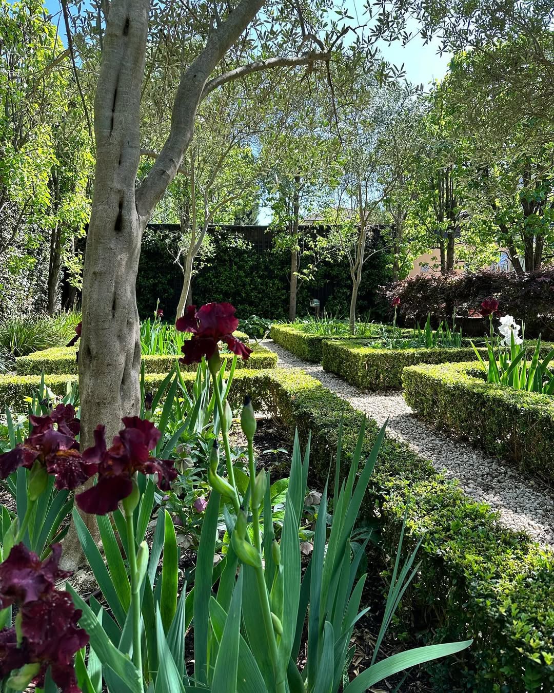 Hedging & Tree Care in Melbourne