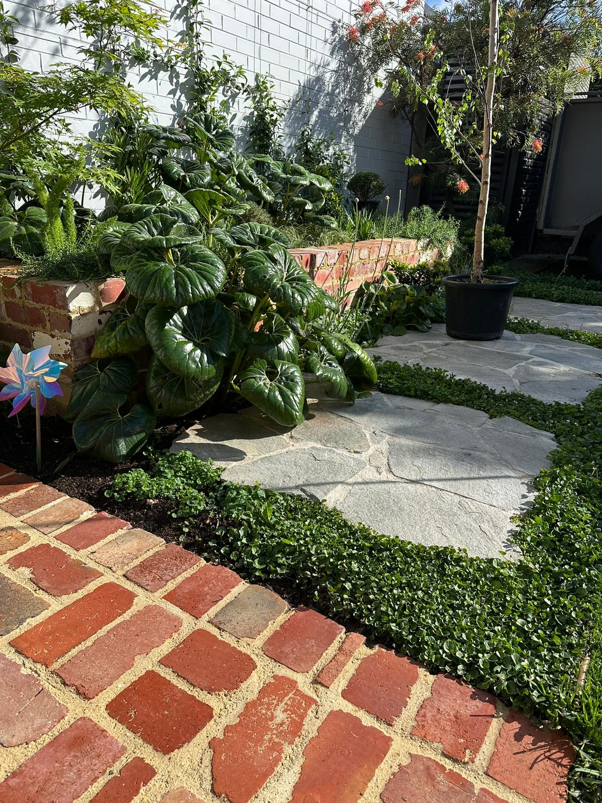 Garden Construction in Melbourne