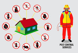 Ways To Hire Pest Control Services  