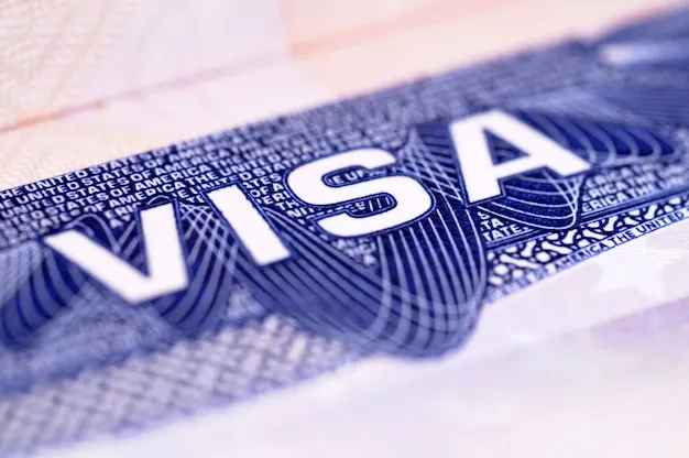 Indian eVisa Made Simple: A Guide for Tanzanian and Senegalese Citizens