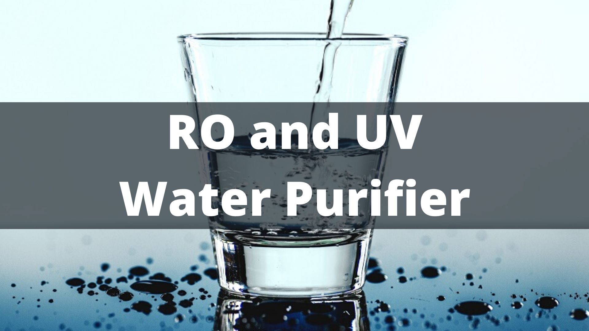 Overseas Education consultant | Study Abroad | IEPL Career