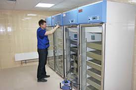 What Are the Signs You Need Fridge Repair Services Immediately?