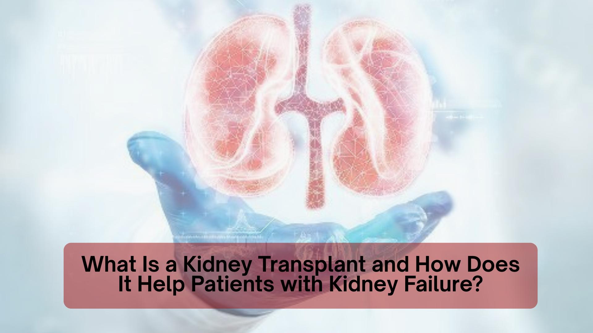 What Is a Kidney Transplant and How Does It Help Patients with Kidney Failure?