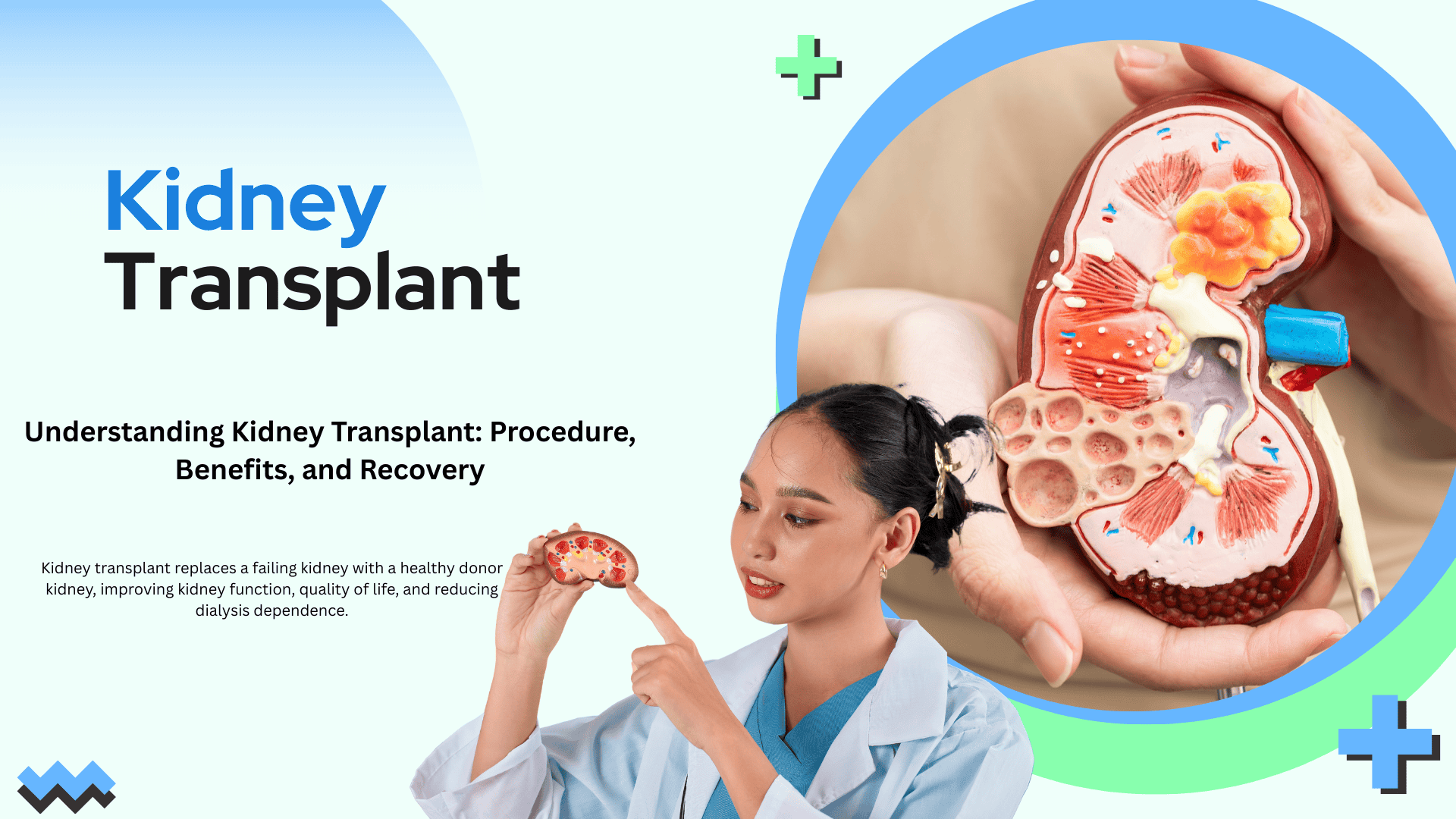 Understanding Kidney Transplant: Procedure, Benefits, and Recovery