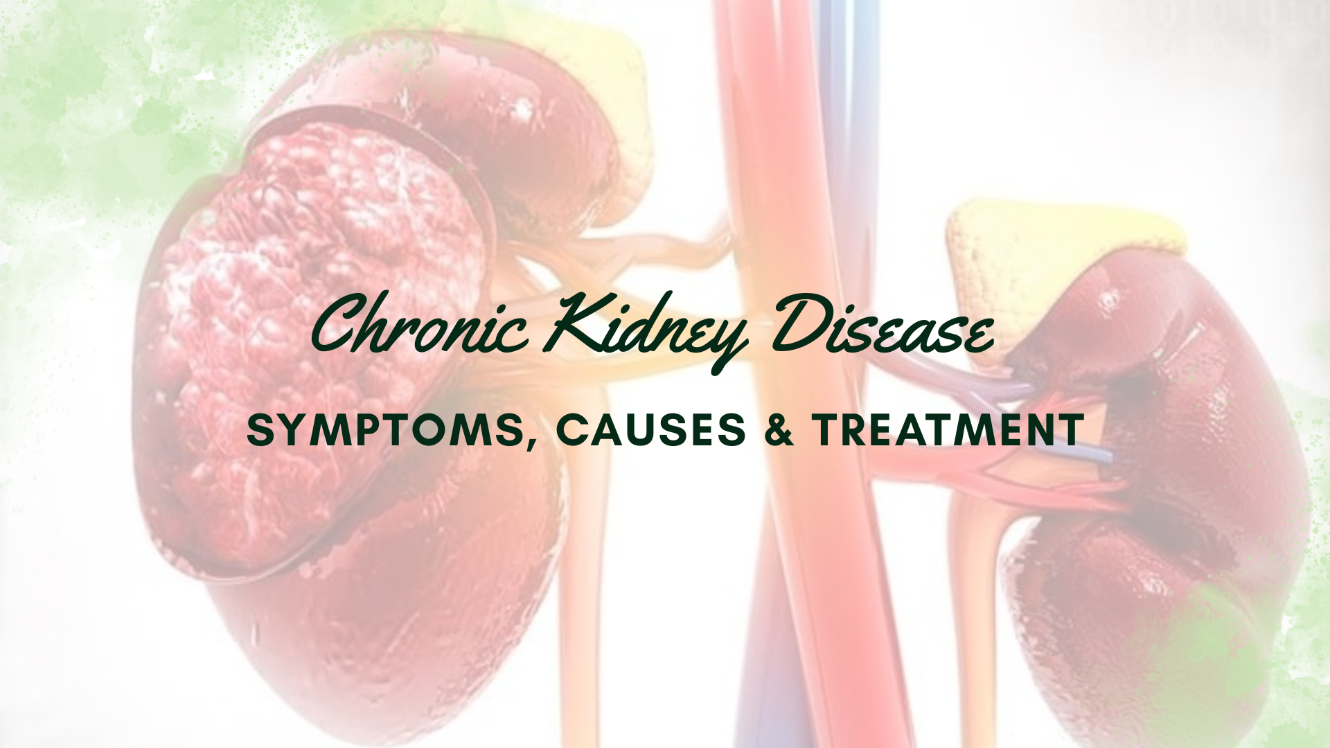 Understanding Chronic Kidney Disease: Symptoms, Causes & Treatment
