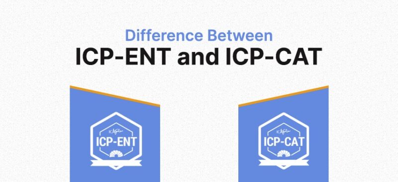 What is the focus of ICP-ENT and ICP-CAT Programs?