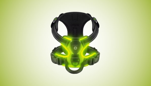 RadPaws LED Harness Reviews - Night-Walk Safety Made Easy