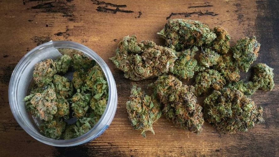If You Love Cannabis then Buy Top Cannabis Product in USA