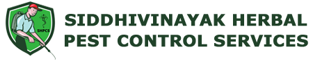 Combatting Pest Control in Mumbai with Siddhivinayak Pest Control