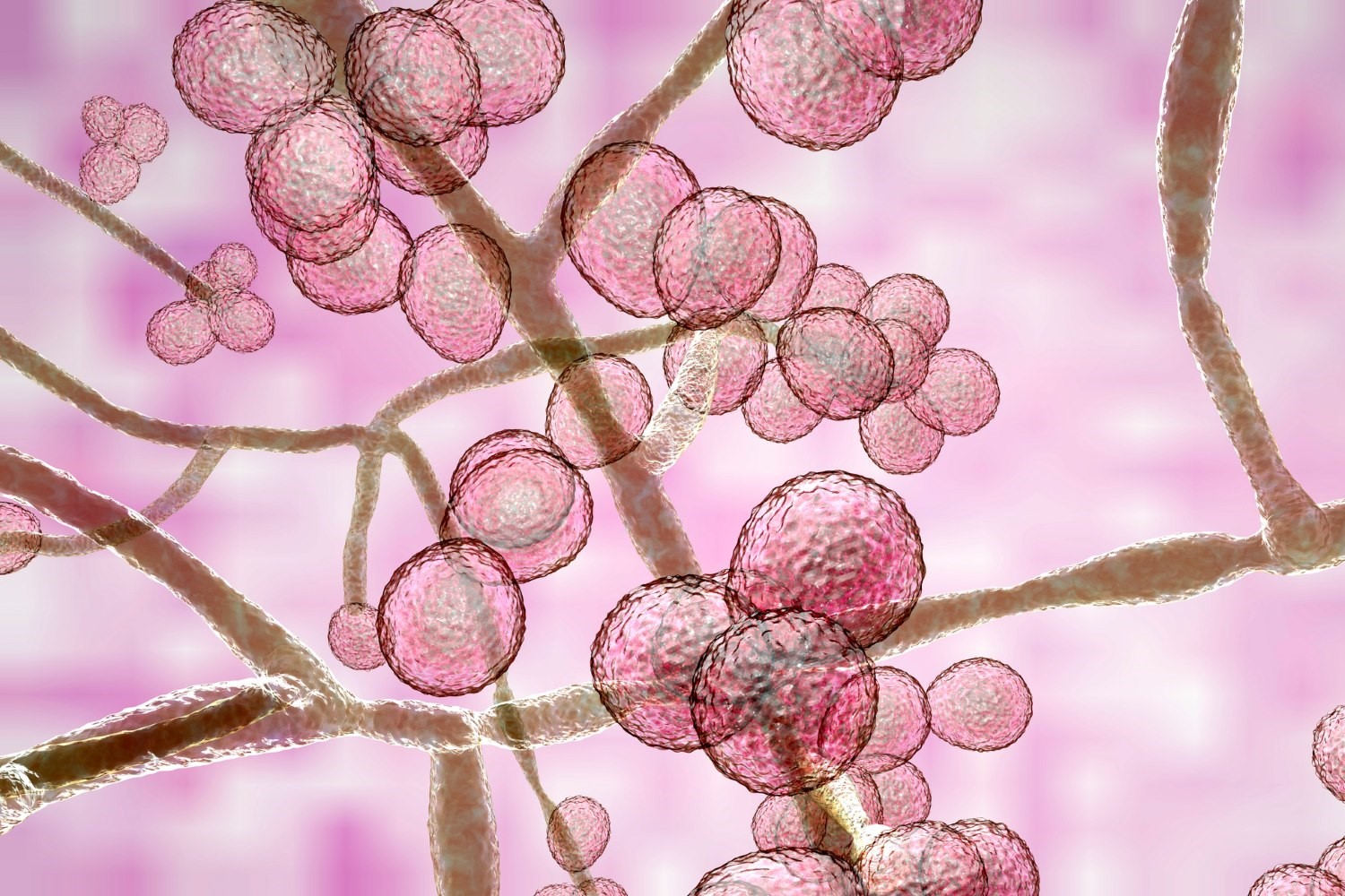 Enfield STD Clinic in Dubai: Reliable Screening Services