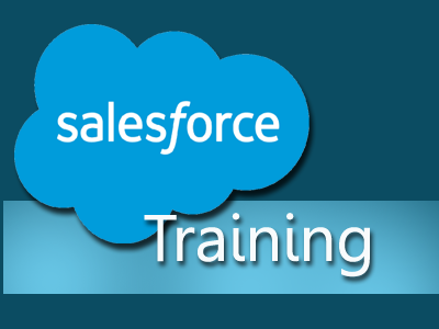 How Salesforce Training Can Enhance The Business Success Curve?