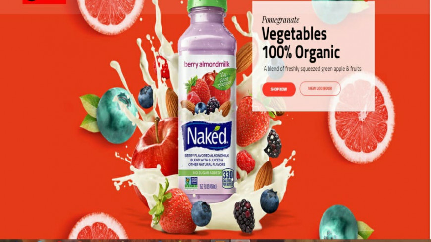 Organic Food WordPress Theme TrioLife