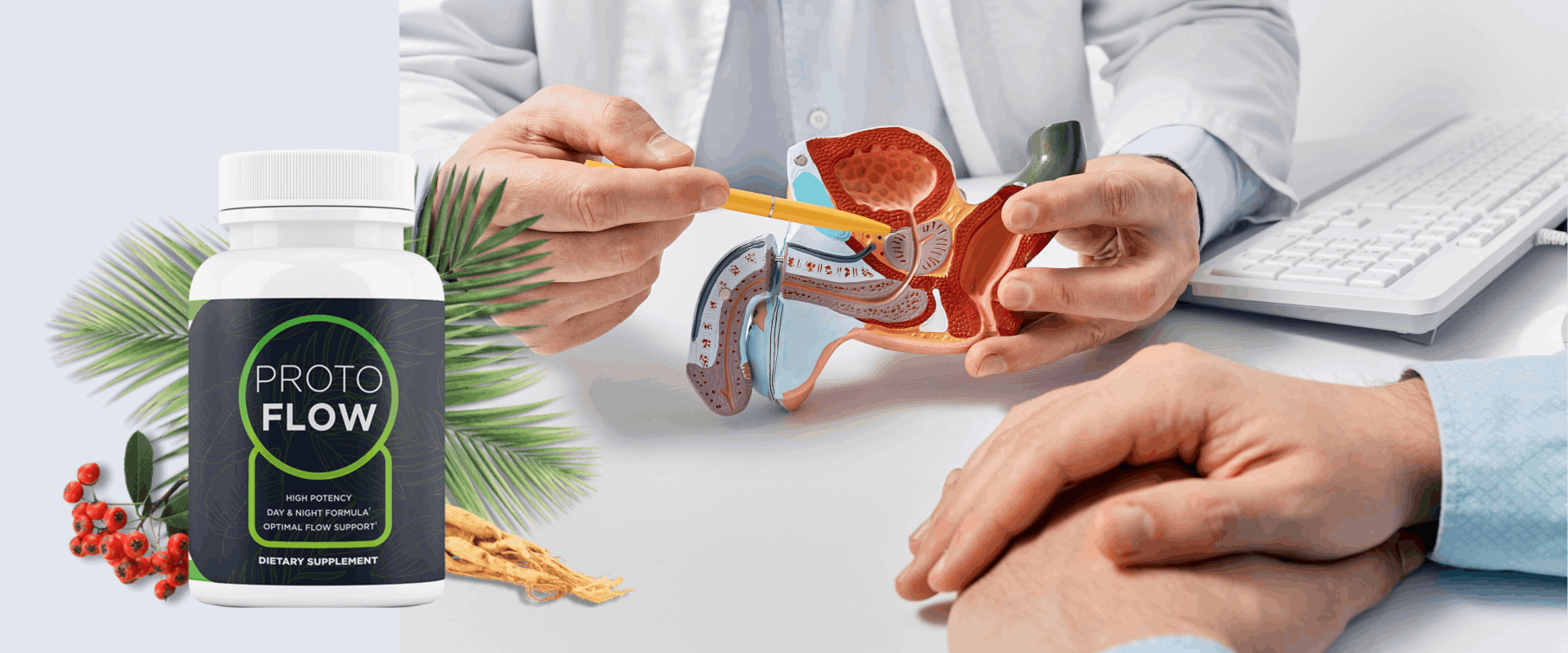 Protoflow : Beware User’s (Price 2026) Is It Really Work Or Not?