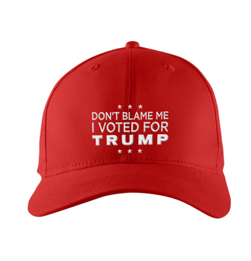Don't Blame Me I Voted For Trump hat