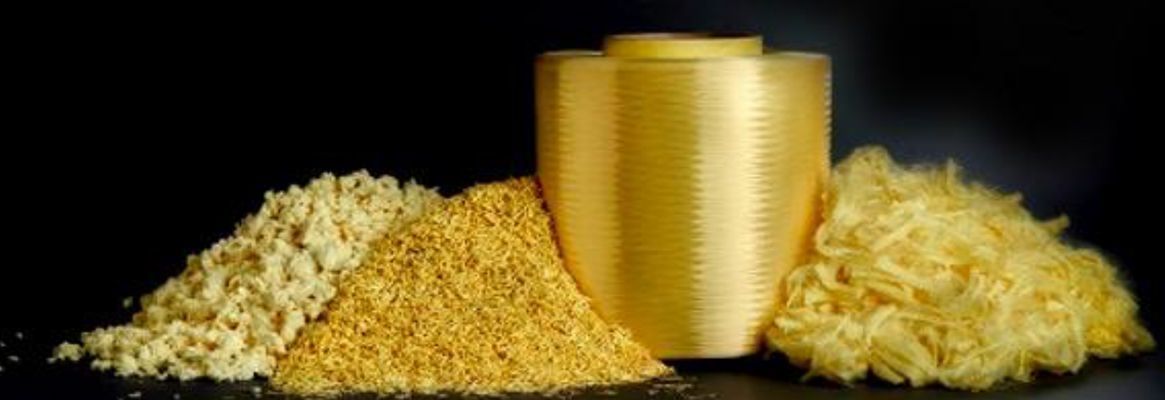Global Para-aramid Fiber Market Report 2020 Forecast to 2025