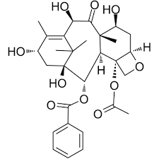 Global 10-Deacetylbaccatin III  Market Report 2020 Forecast to 2025