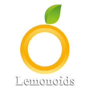 What is Search Engine Optimization?