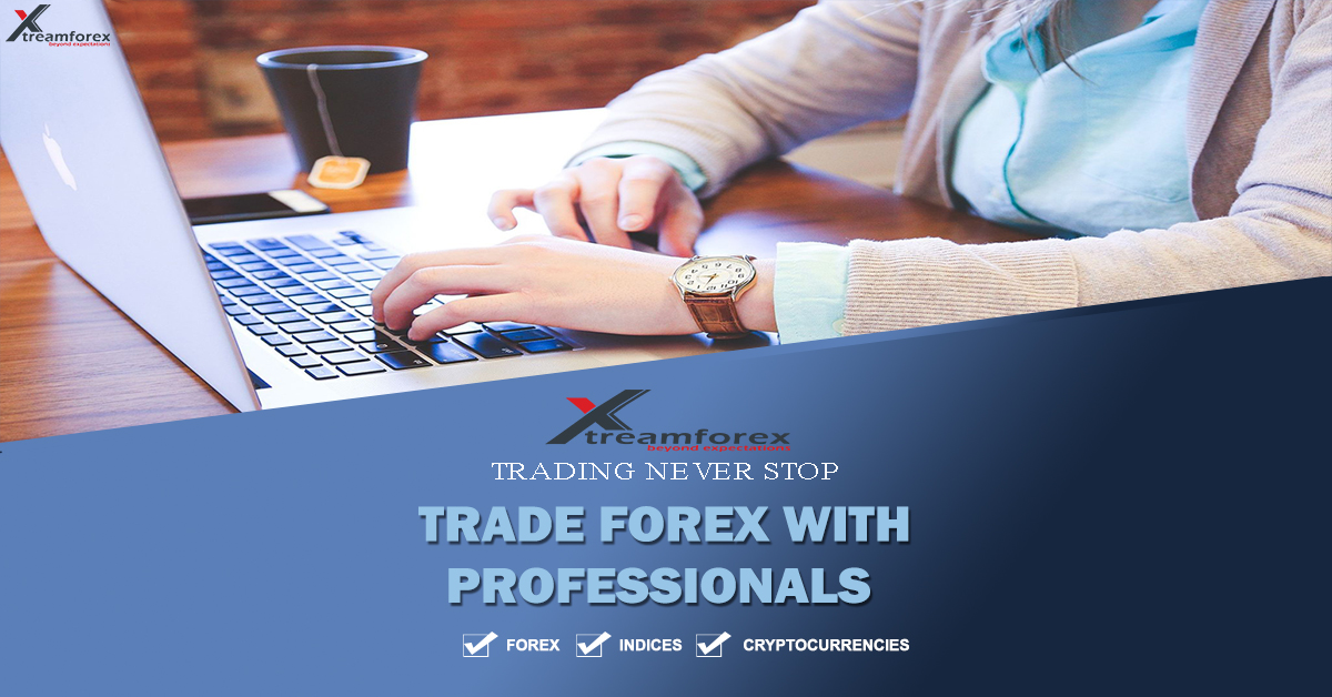 Top Online Forex Brokers