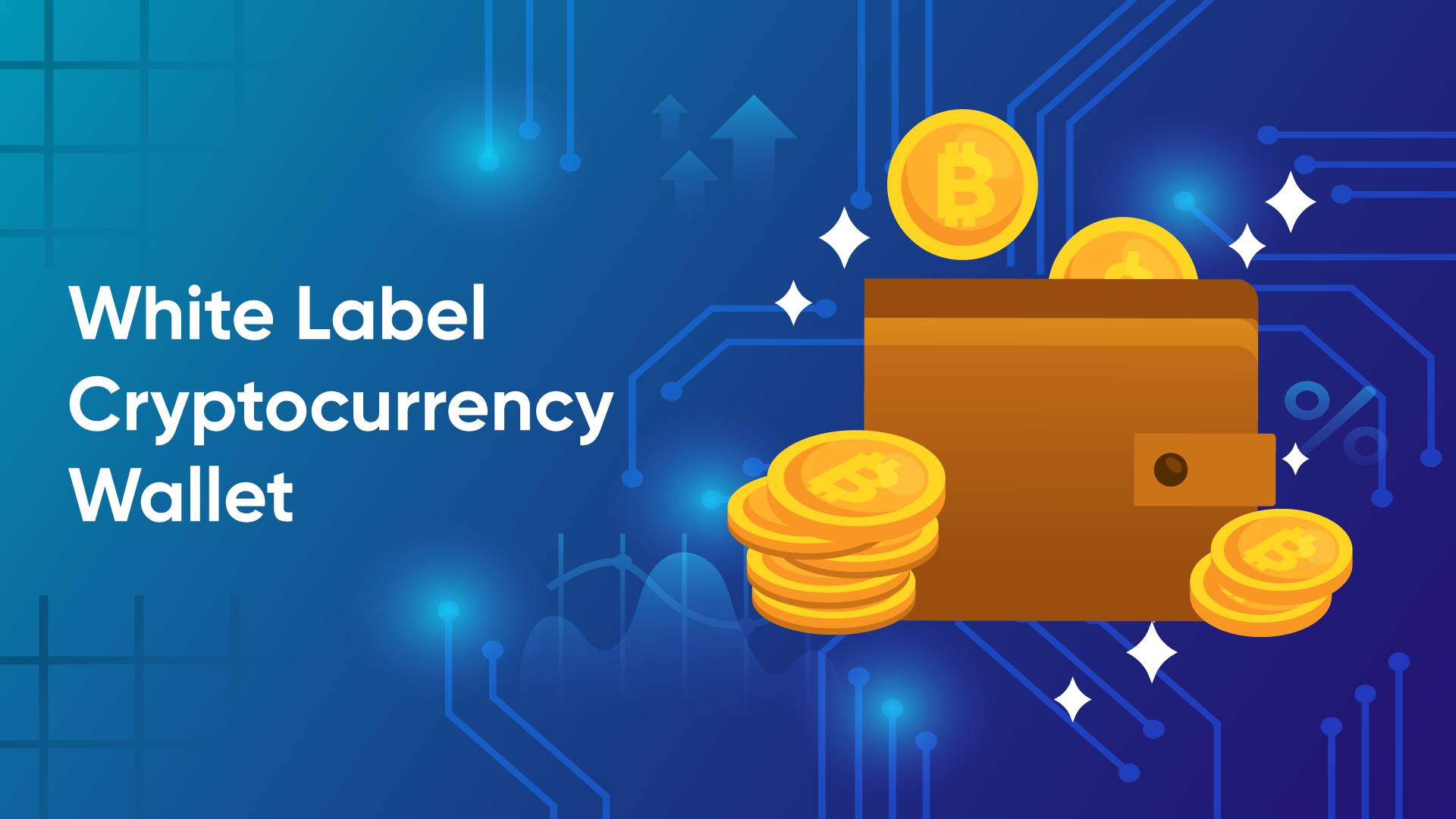 No.1 guide to your cryptocurrency wallet needs