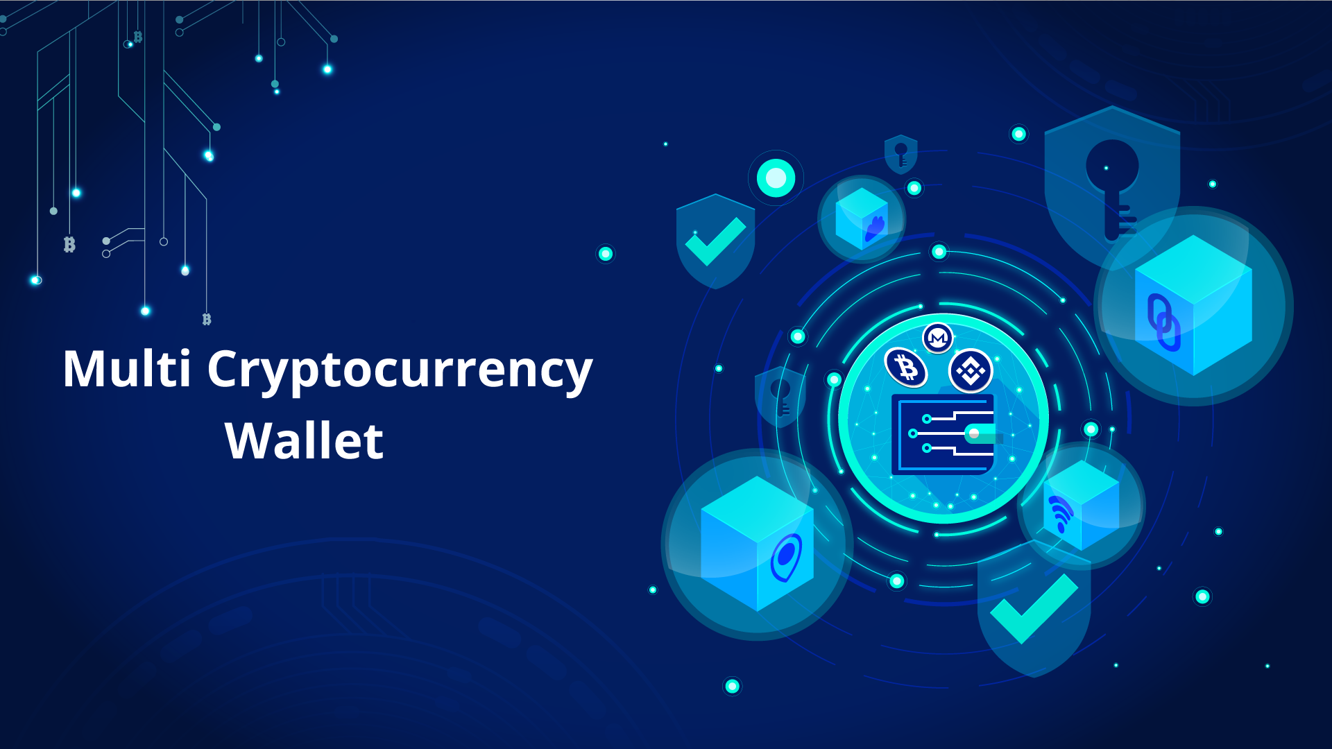 Features of Multi-Cryptocurrency Wallet Software