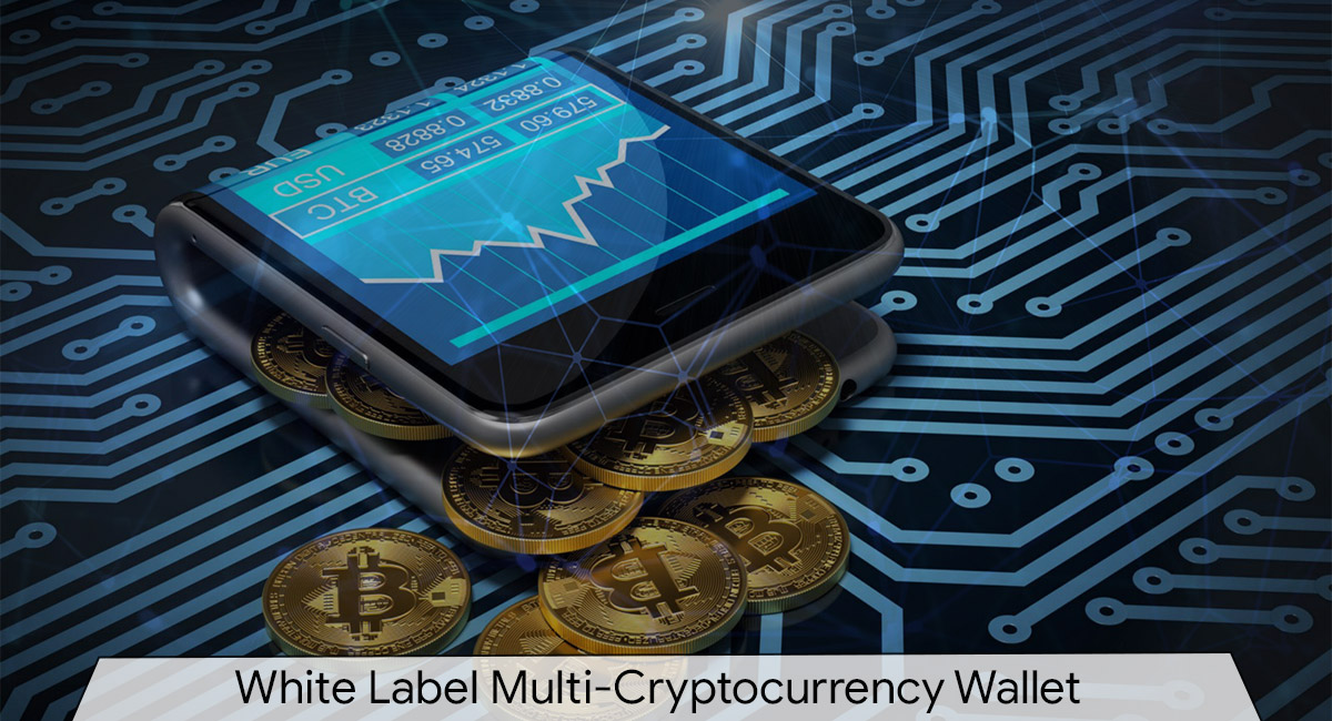 Best Multi Cryptocurrency Wallets You Can Use Right Now
