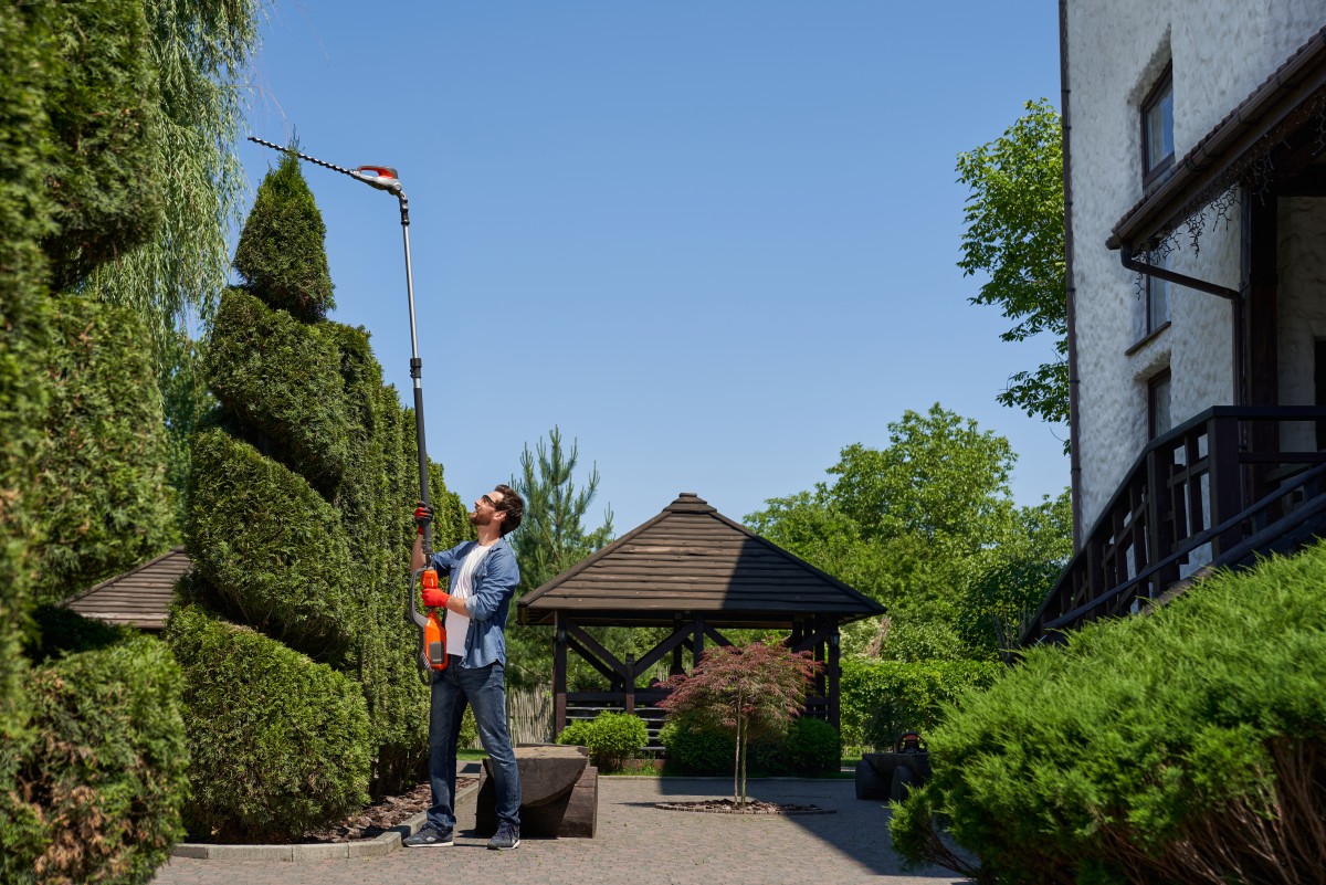 Reliable Buffalo Tree Service for Complete Outdoor Care