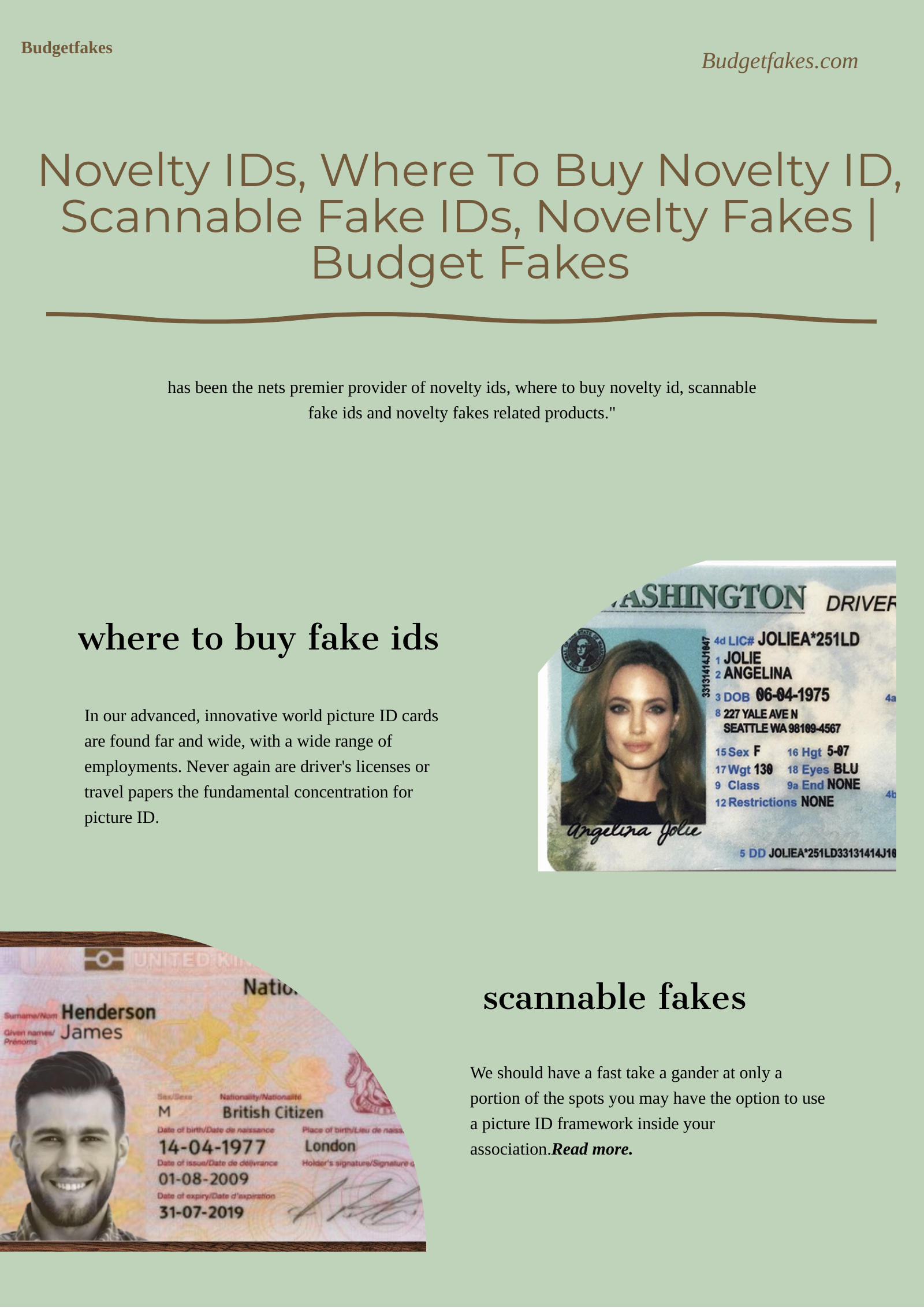 Novelty IDs, Where To Buy Novelty ID, Scannable Fake IDs, Novelty Fakes | Budget Fakes