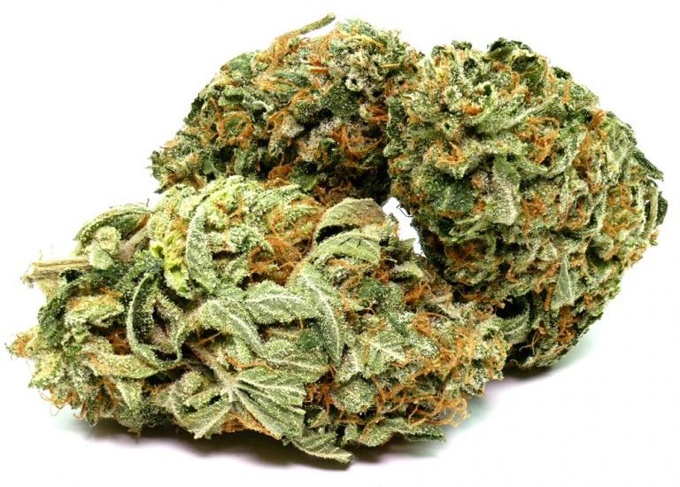 How Long Does Cannabis Stay in Your System?