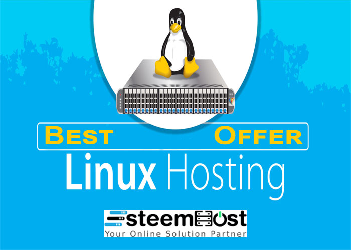 linux hosting in India