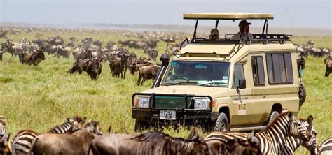 Top Luxury Safari Tanzania: Discover the Ultimate Big Five Experience