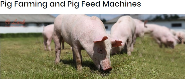 Pig Feed Mixing Machines | Feed Plant Manufacturers | Lark Engineering