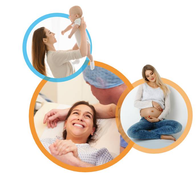 Avail The IVF Treatment At Cost-Effective Prices
