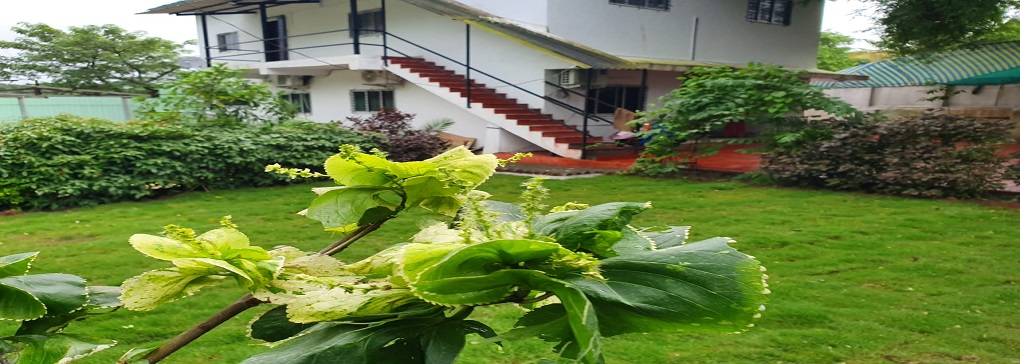 Rehabs in Mumbai - Trucare Trust