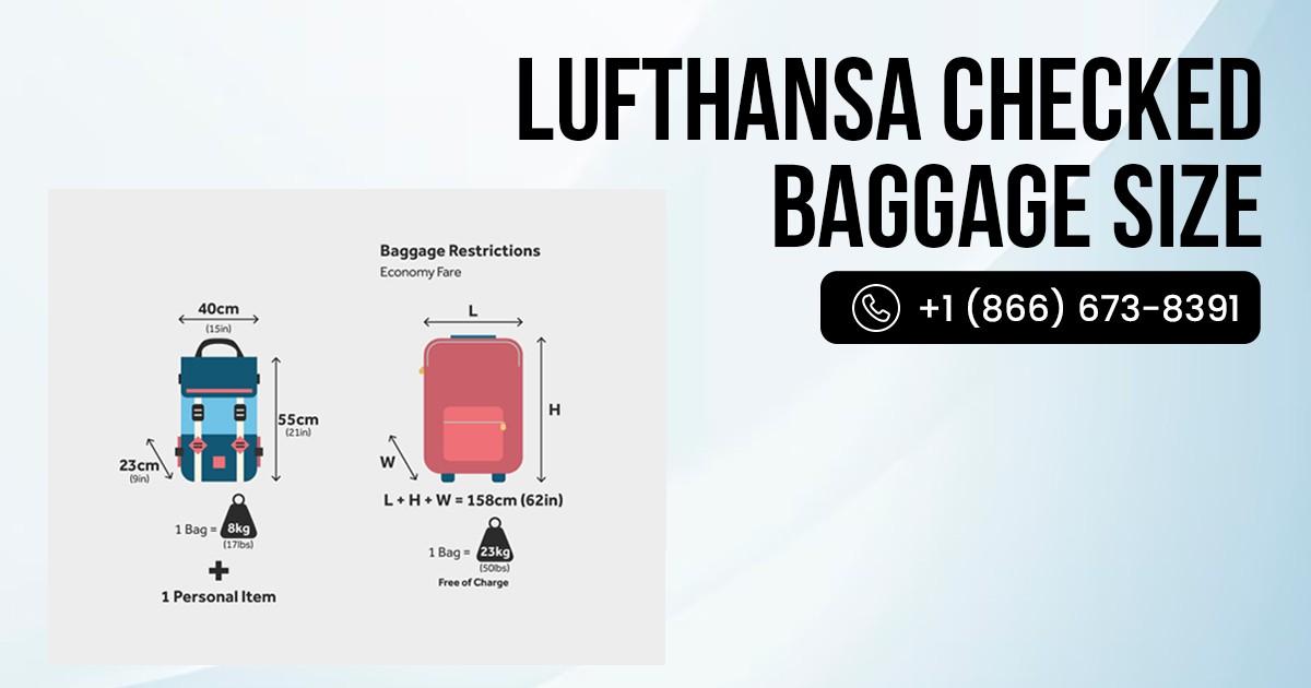 Lufthansa Checked Baggage Rules: How to Add Bags Without Extra Fees?