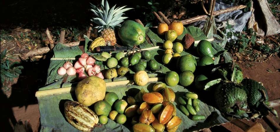 Authentic Spice tour zanzibar for unique island experience