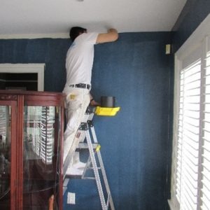Refresh Your Living Space with Interior Painting Services in Victoria BC