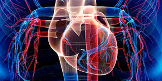 Global Transcatheter Aortic Valve Replacement (TAVR) Market Report 2020 Forecast to 2025